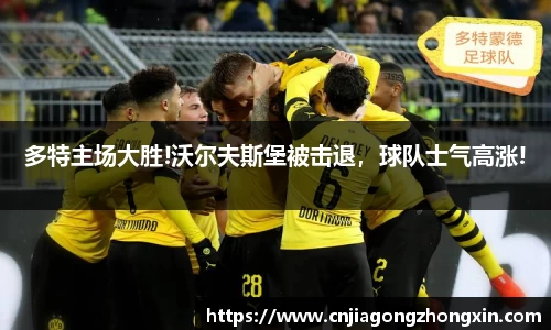 哈哈体育app