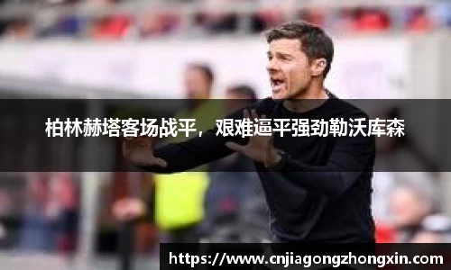哈哈体育app