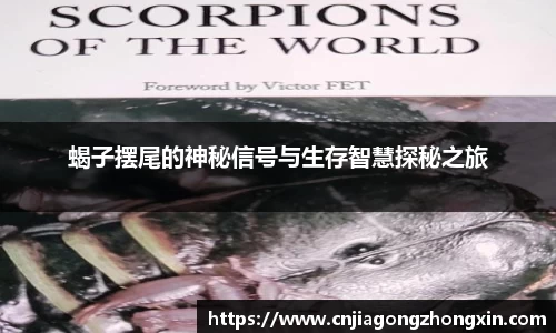 哈哈体育app